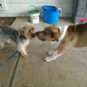 Meet your Posher, Daniel